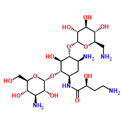 CAS:37517-28-5	Amikacin	   阿米卡星      原料药研发