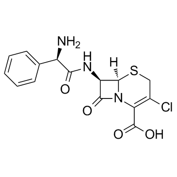 CAS:53994-73-3	Cefaclor	头孢克罗  药物分子开发 