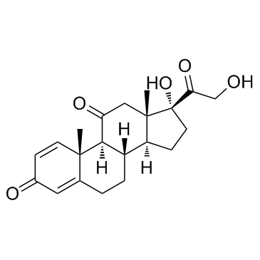 CAS:53-03-2	Prednisone	泼尼松   KG级
