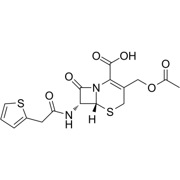 CAS:153-61-7	Cephalothin	头孢噻吩    中间体生产