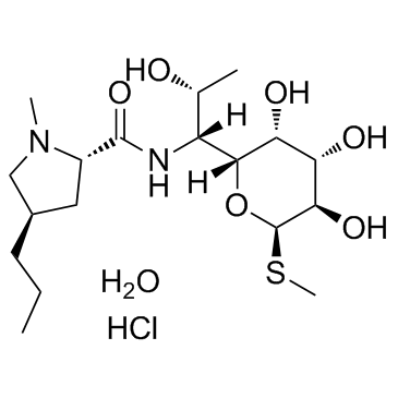 CAS:7179-49-9	     Lincomycin (hydrochloride monohydrate)	    工艺优化
