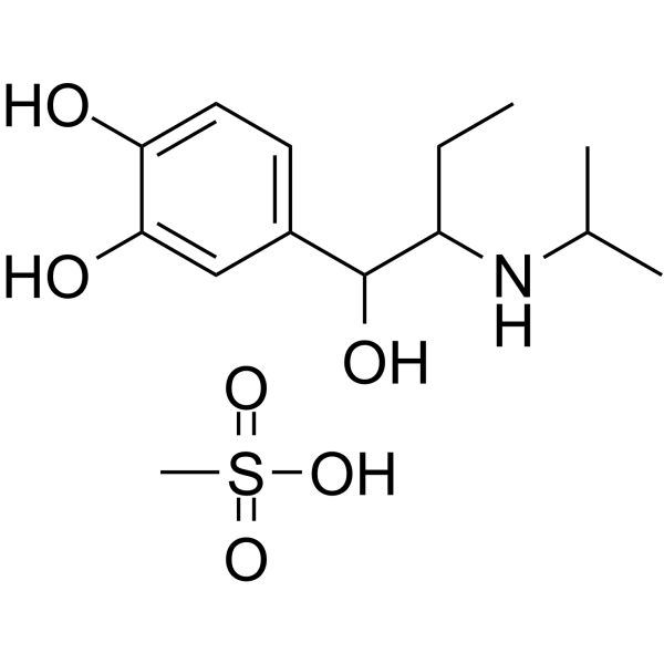 CAS:7279-75-6     	Isoetharine (mesylate)	异丙肾上腺素甲磺酸盐         大包装