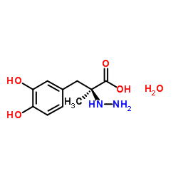 CAS:38821-49-7	Carbidopa (monohydrate)	卡比多巴  公斤级  