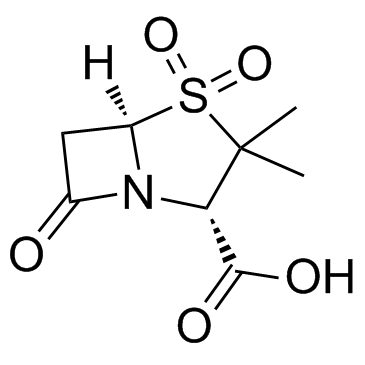CAS:68373-14-8	Sulbactam	舒巴坦酸  原料药研发