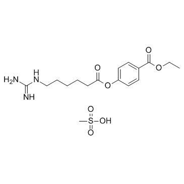 CAS:56974-61-9	Gabexate (mesylate)	  甲磺酸加贝酯   规模供应 