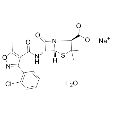 CAS:7081-44-9	Cloxacillin (sodium monohydrate)	邻氯西林钠一水合物   原料药供应 