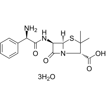CAS:7177-48-2	Ampicillin (trihydrate)	氨苄青霉素,三水   工艺放大 