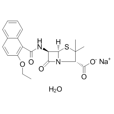 CAS:7177-50-6	Nafcillin (sodium monohydrate)	萘夫西林钠   药物分子开发 