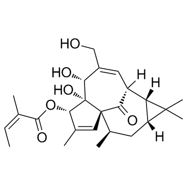 CAS:75567-37-2	Ingenol Mebutate	丁烯英酯  中试供应 