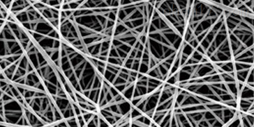 生物可降解的胶原盘-静电纺丝纳米纤维膜的基本信息