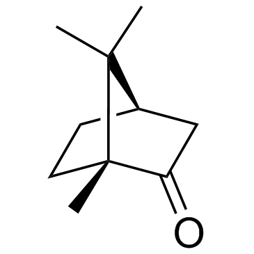 CAS:464-49-3	(+)-Camphor	D(+)-樟脑   新药中间体中试