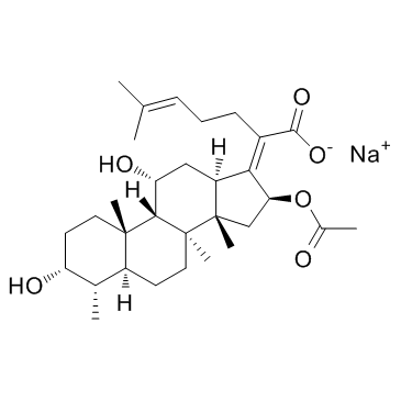 CAS:751-94-0	Fusidic acid (sodium salt)	夫西地酸钠   中试供应 
