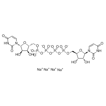 CAS:211427-08-6	Diquafosol (tetrasodium)	地夸磷索四钠     药物分子开发