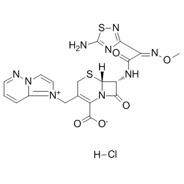 CAS:113981-44-5	Cefozopran (hydrochloride)	盐酸头孢唑兰    KG级