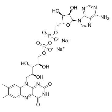 CAS:84366-81-4	Flavin adenine dinucleotide (disodium salt)	黄素腺嘌呤二核苷酸二钠  大包装  