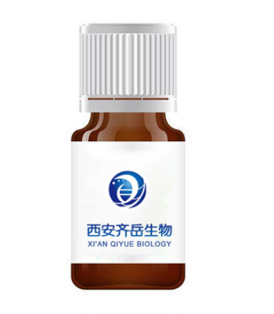 SF-PEI(聚乙烯亚胺)涂层复合纳米纤维膜