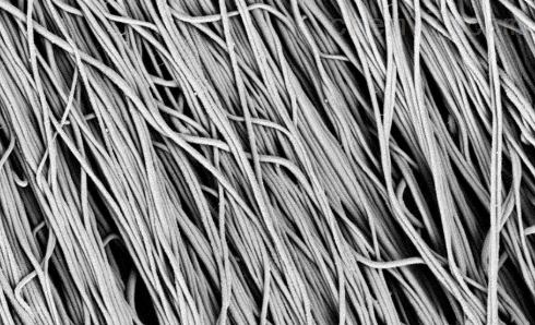 PVDF-g-Pzwitterionic(P-g-P)纳米纤维膜的介绍