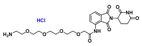 CAS：2331259-45-9    Pomalidomide-amino-PEG4-NH2 hydrochloride    	泊马度胺-四聚乙二醇-氨基盐酸盐