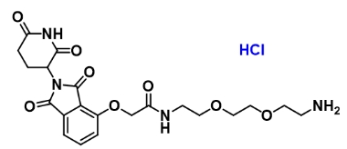 CAS  : 2376990-30-4    Thalidomide-O-amido-PEG2-NH2 hydrochloride    沙利度胺-O-酰胺-二聚乙二醇-氨基盐酸盐  