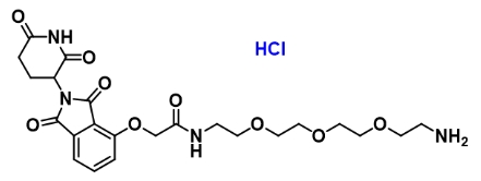 CAS  : 2245697-84-9     Thalidomide-O-amido-PEG3-NH2 hydrochloride    沙利度胺-O-酰胺-三聚乙二醇-氨基盐酸盐  