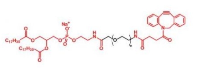 DSPE-PEG-DBCO   磷脂聚乙二醇二苯基環(huán)辛炔