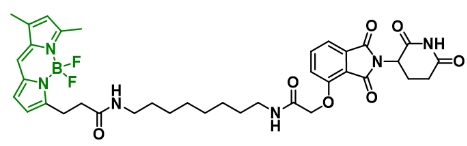 Thalidomide-BODIPY      沙利度胺-氟化硼二吡咯