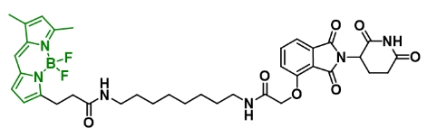 Thalidomide-BODIPY              沙利度胺-氟化硼二吡咯