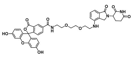 5-FAM-PEG2-NH-Lenalidomide        5-羧基荧光素-二聚乙二醇-氨基-来那度胺