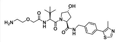 CAS：2241641-57-4       (S,R,S)-AHPC-PEG1-NH2       (S,R,S)-AHPC-一聚乙二醇-氨基   