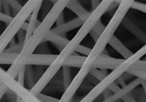 载有不同含量银纳米粒子(silver nanoparticles,AgNPs)的抗*聚乳酸纳米纤维膜(PLLA@AgNPs)的信息