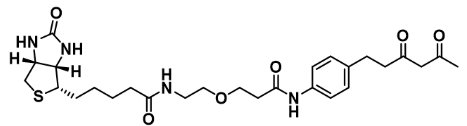 Diketone-PEG1-Biotin        二酮-一聚乙二醇-生物素
