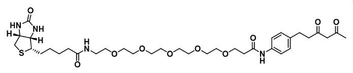 Diketone-PEG5-Biotin          二酮-五聚乙二醇-生物素
