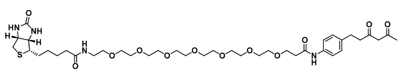 Diketone-PEG7-Biotin          二酮-七聚乙二醇-生物素        