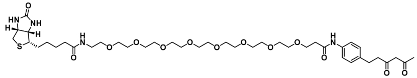 Diketone-PEG8-Biotin        二酮-八聚乙二醇-生物素