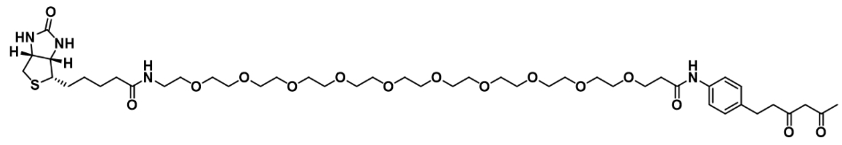 Diketone-PEG10-Biotin     二酮-十聚乙二醇-生物素