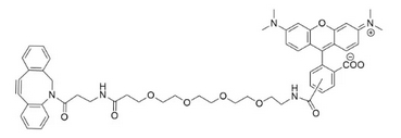 CAS:1895849-41-8   DBCO-PEG4-TAMRA  四甲基羅丹明-四聚乙二醇-二苯基環(huán)辛炔