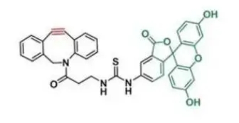CAS：2054339-00-1  DBCO-FITC（5-isomer）二苯并环辛炔-荧光素(5-异构体)  荧光标记试剂