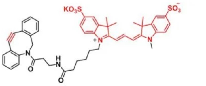 DBCO-Disulfo-Cy3  二苯并环辛炔-二磺酸-Cy3  红色荧光标记试剂