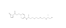 CAS:2639395-43-8	Bromoacetamido-PEG2-AZD	溴乙酰氨-二聚乙二醇-AZD
