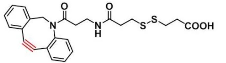 DBCO-S-S-acid DBCO-SS-COOH 二苯并环辛炔-二硫键-羧基 点击化学试剂 DBCO-S-S-acid DBCO-SS-COOH 二苯并环辛炔-二硫键-羧基 点击化学试剂
