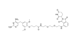 CAS:	2849442-92-6	     PROTAC eDHFR Degrader-1 