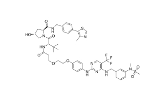 CAS:	2301916-69-6	     PROTAC FAK degrader 1