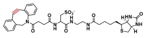 1363444-70-5   DBCO-sulfo-Biotin 二苯并环辛炔-磺酸-生物素