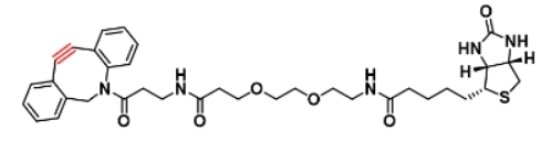 2989400-08-8 DBCO-NHCO-PEG2-Biotin 二苯并环辛炔-酰胺-二聚乙二醇-生物素