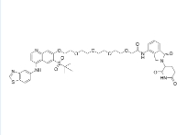 CAS:	2089205-64-9	PROTAC RIPK degrader-6     PROTACs（蛋白降解靶向嵌合体）