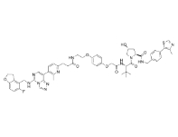 CAS:	2639882-72-5	PROTAC EED degrader-1     PROTACs（蛋白降解靶向嵌合体）