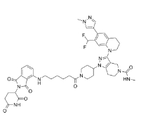 CAS:	2484739-48-0	PROTAC CBP/P300 Degrader-1      PROTACs（蛋白降解靶向嵌合体）