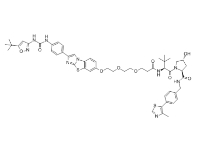 CAS:	2230826-81-8	PROTAC FLT-3 degrader 1    PROTACs（蛋白降解靶向嵌合体）