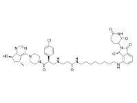 CAS:	2376136-61-5	MS170    PROTACs（蛋白降解靶向嵌合体）