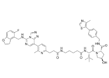 CAS:	2639882-69-0	PROTAC EED degrader-2     PROTACs（蛋白降解靶向嵌合体）